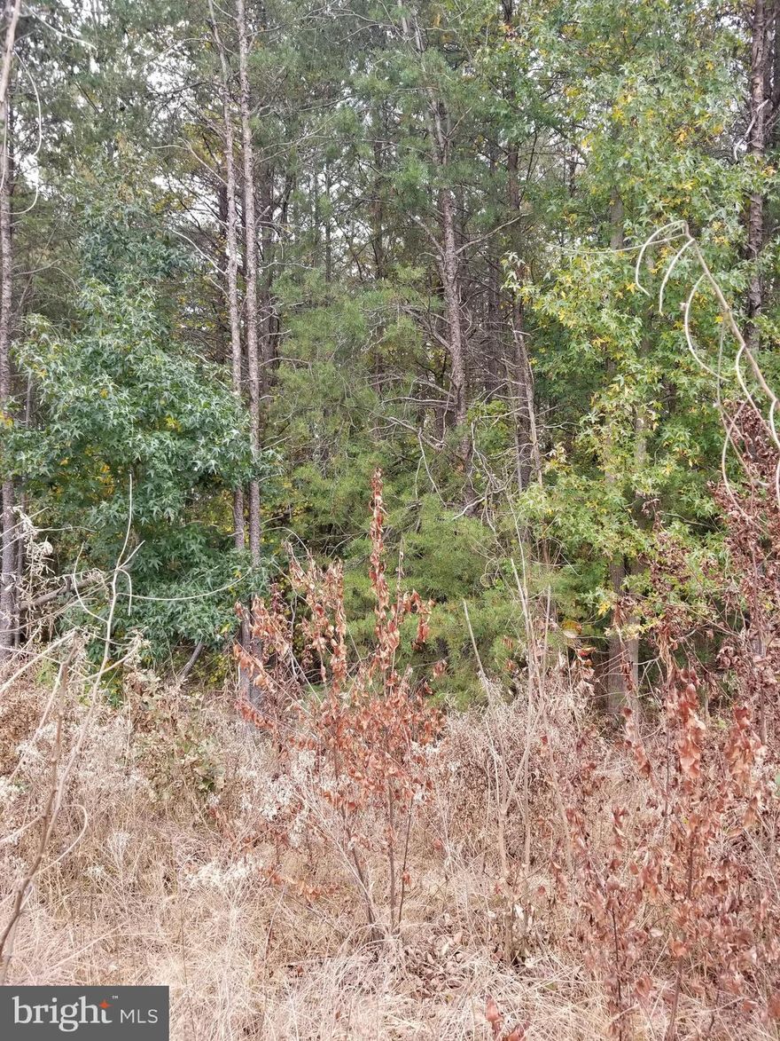 Wooded lot with frontage on Rt. 301 (Richmond Turnpike). Alternative septic needed. Ideal for walk out level basement.
