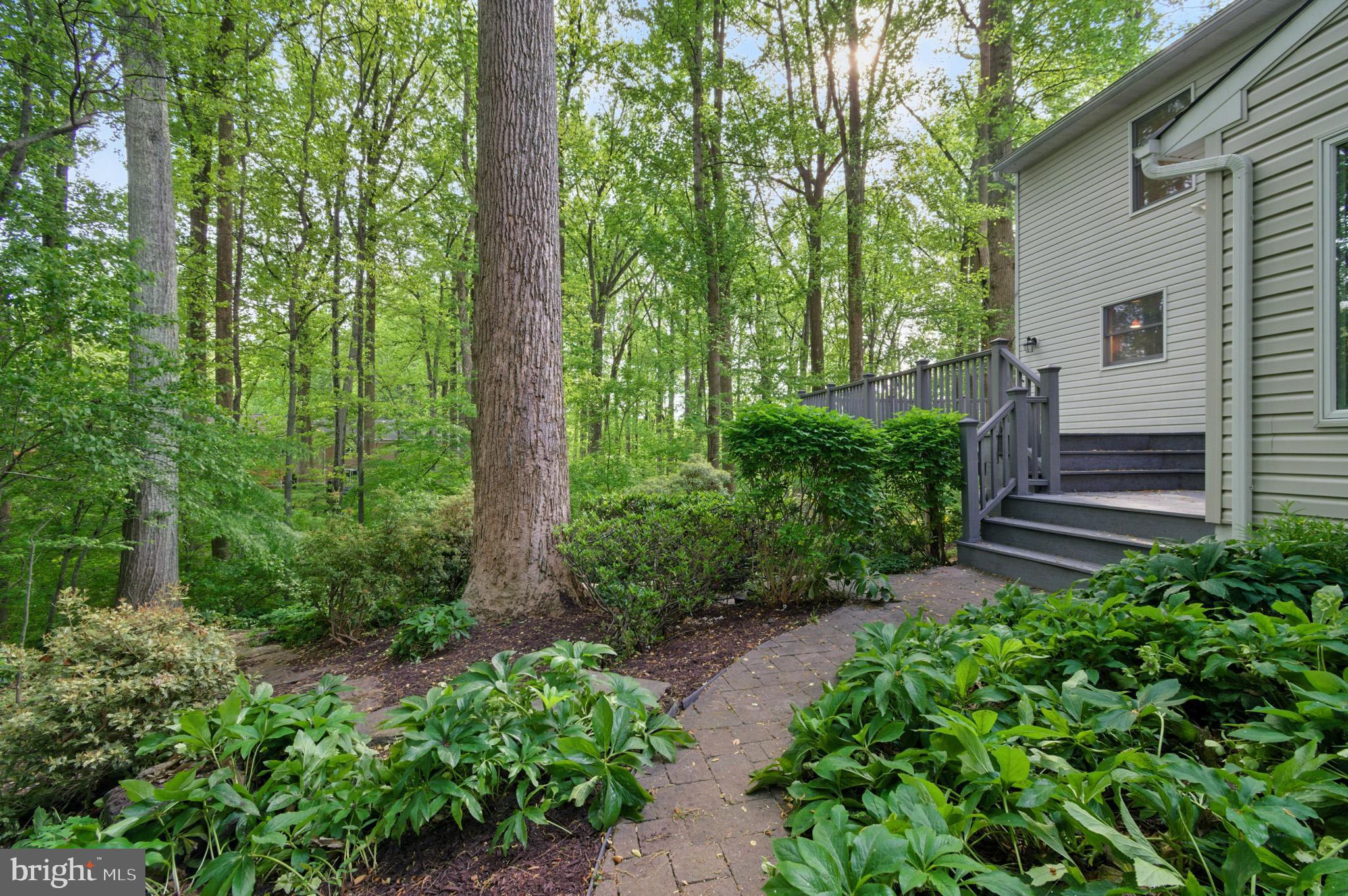 HICKORY RIDGE - Residential