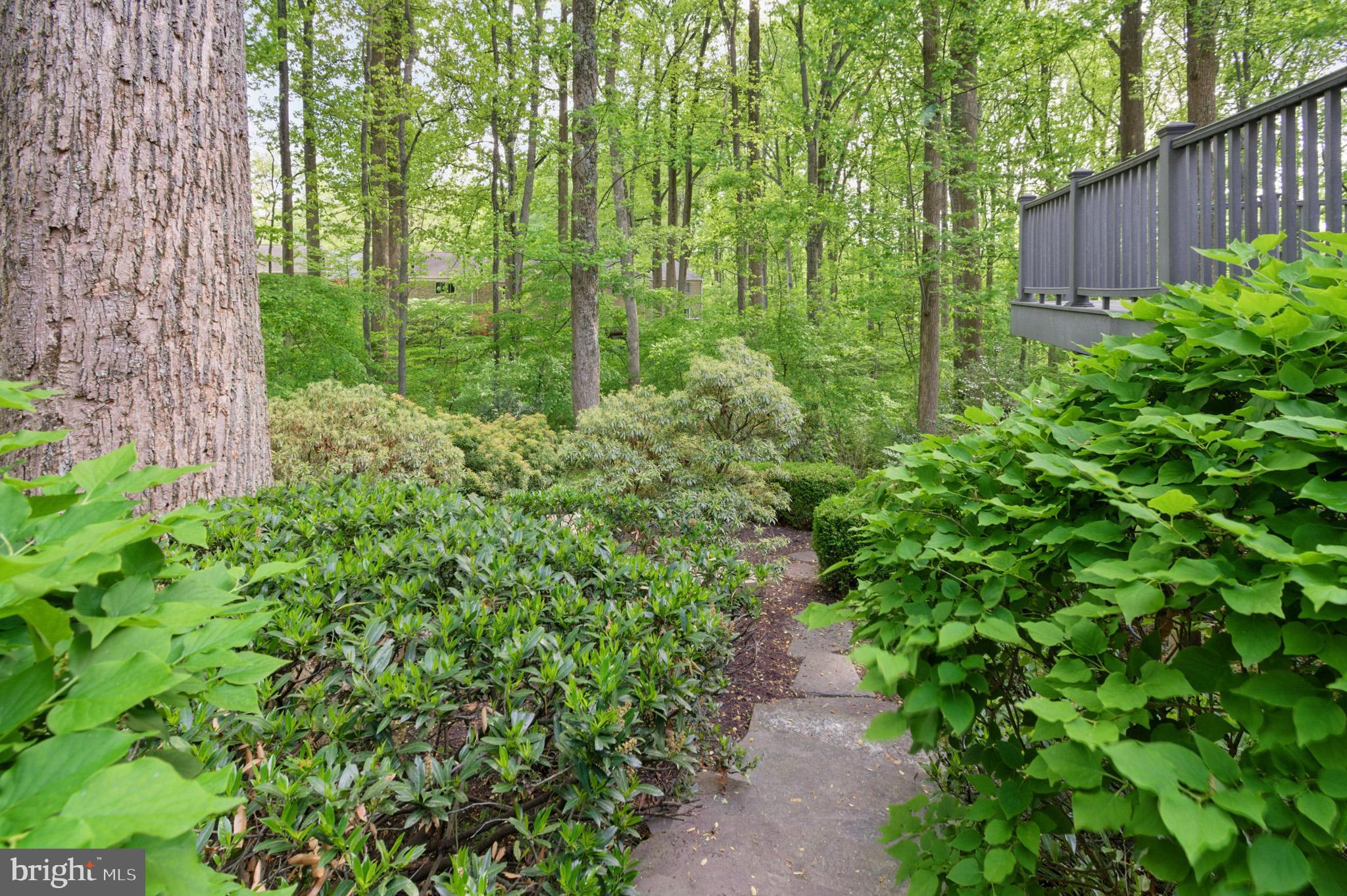 HICKORY RIDGE - Residential