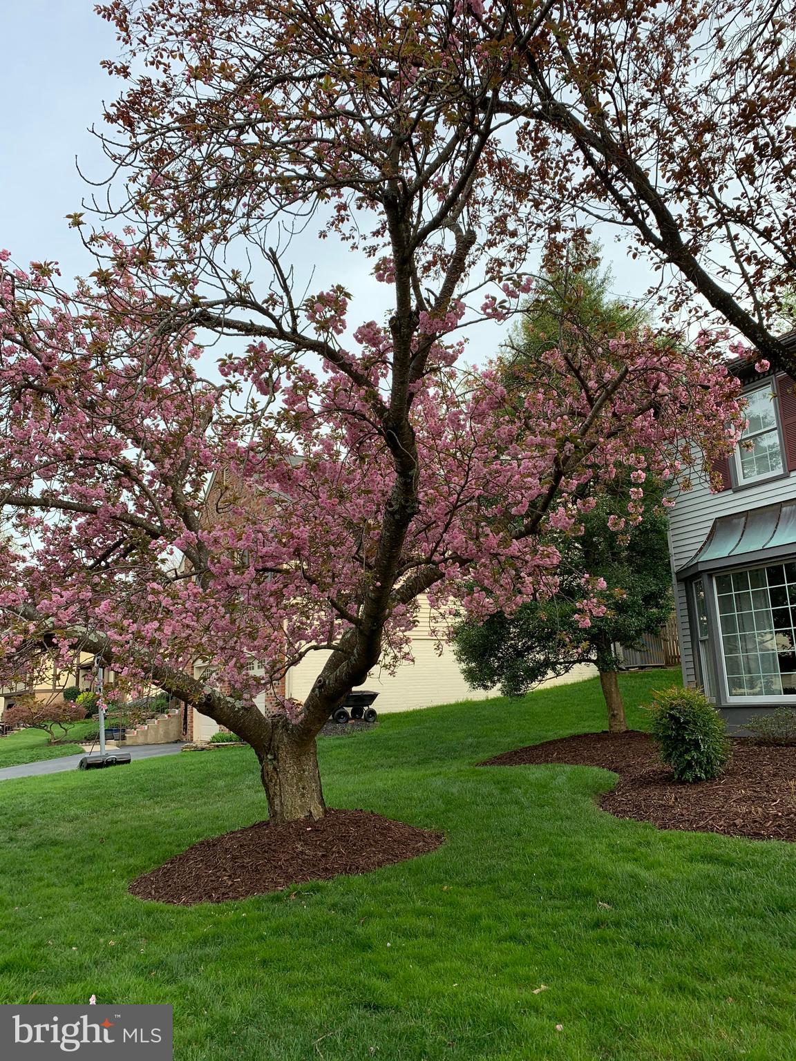 BURKE CENTRE - Residential