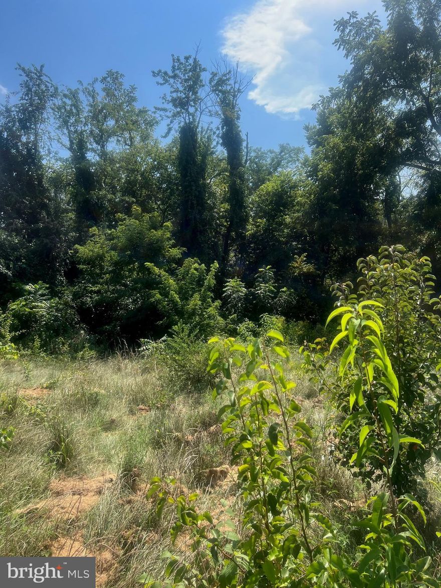 Residential lot available in . Lot size is 0.53 acreage. Zoned for residential use. Public water and sewer available for hook up.Conveniently located! Bring your builder and plans.