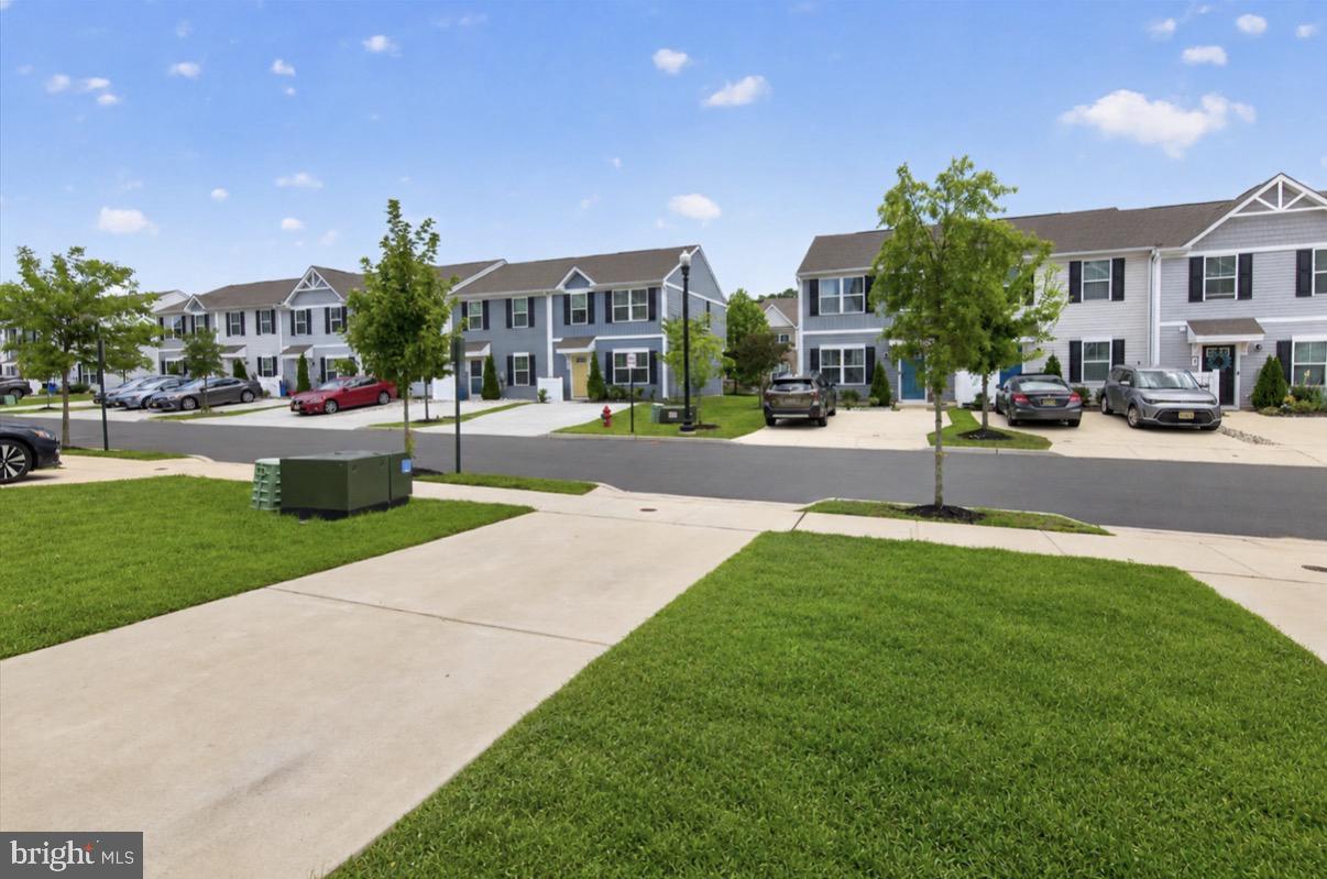 25 MULBERRY LANE