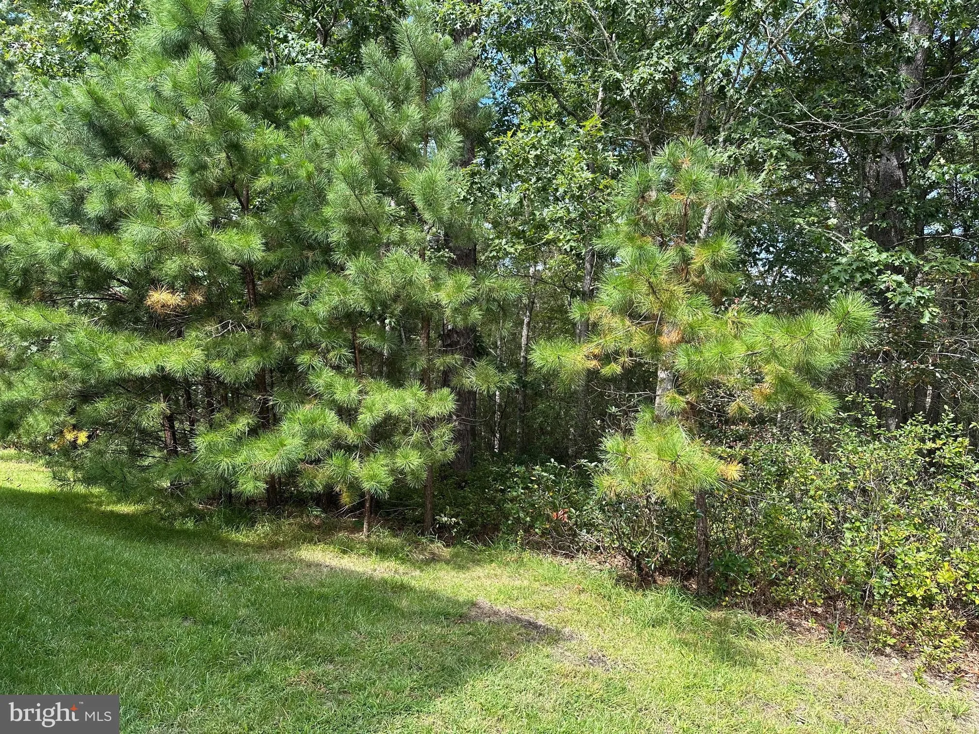 Mays Landing, New Jersey 08330, United States, 2 Bedrooms Bedrooms, ,2 BathroomsBathrooms,Residential,Active,215546