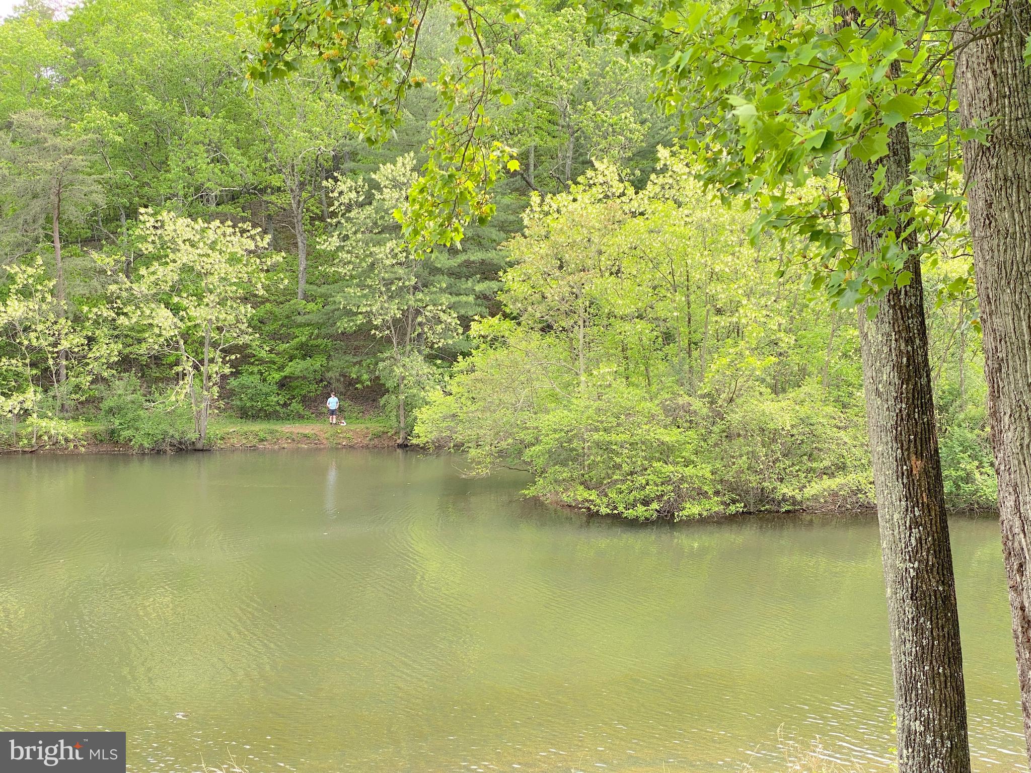 THE WOODS - Residential