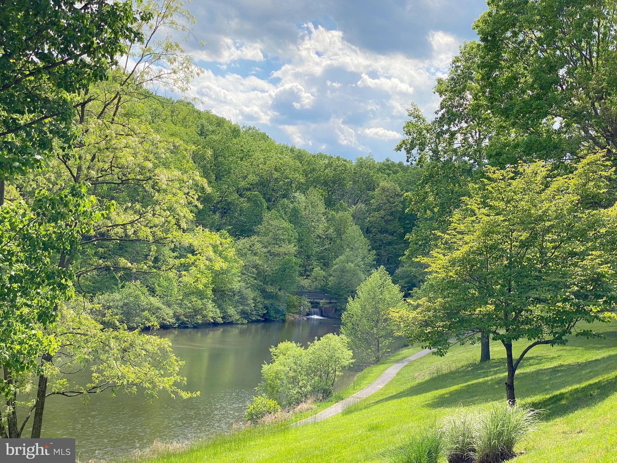 THE WOODS - Residential