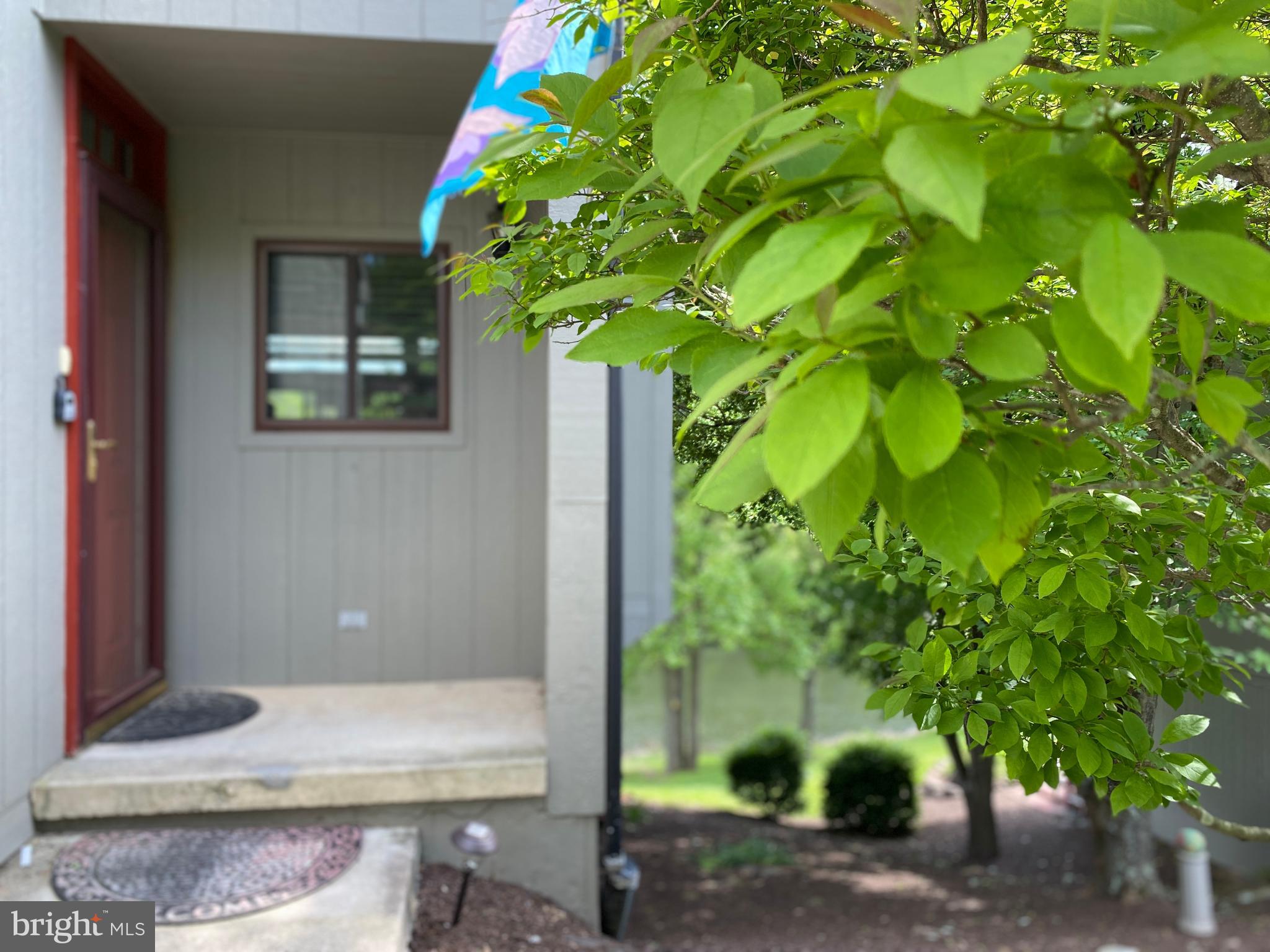 THE WOODS - Residential