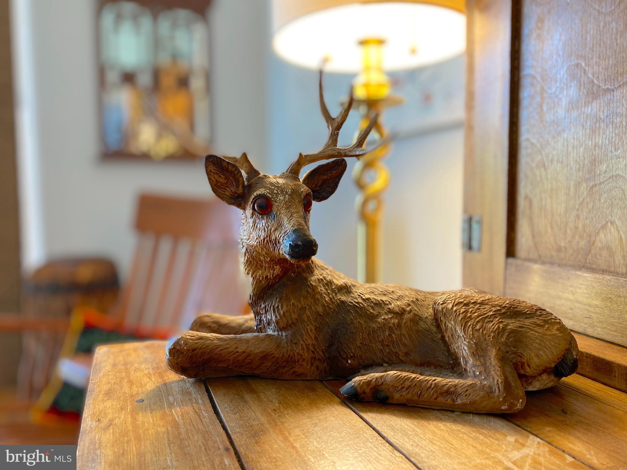 THE WOODS - Residential