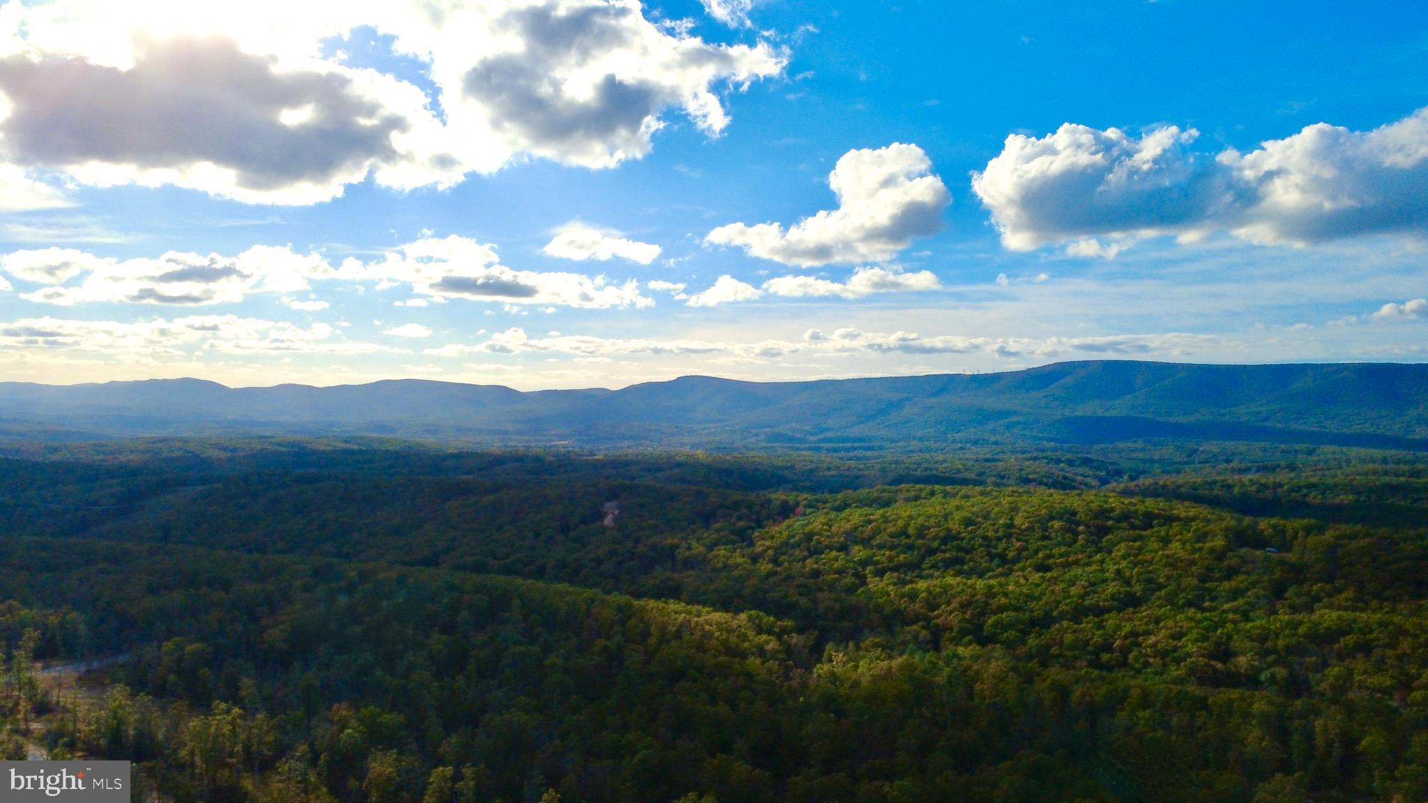 152.44 Acres Lot 2 LAUREL GROVE ROAD