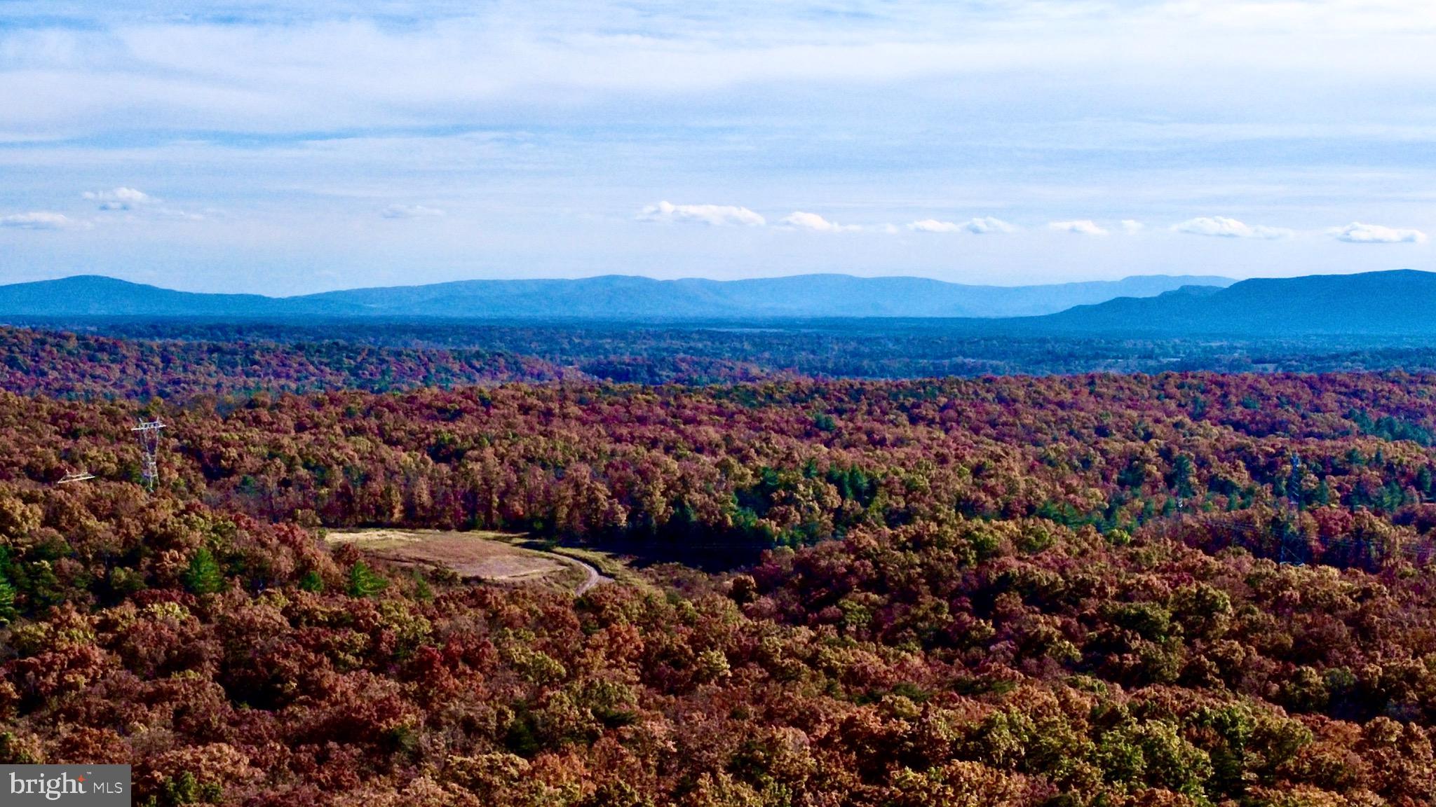 152.44 Acres Lot 2 LAUREL GROVE ROAD