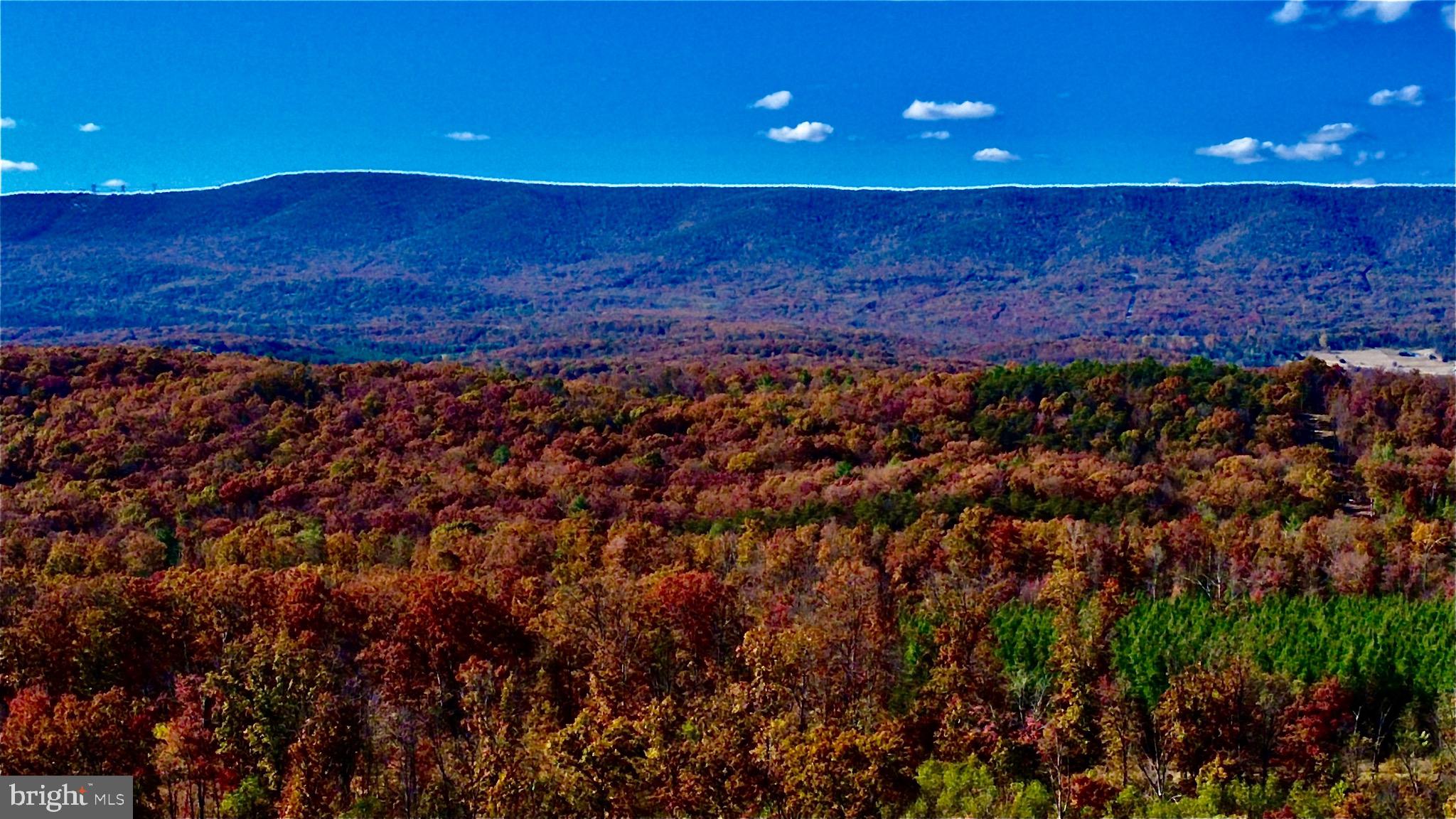 152.44 Acres Lot 2 LAUREL GROVE ROAD