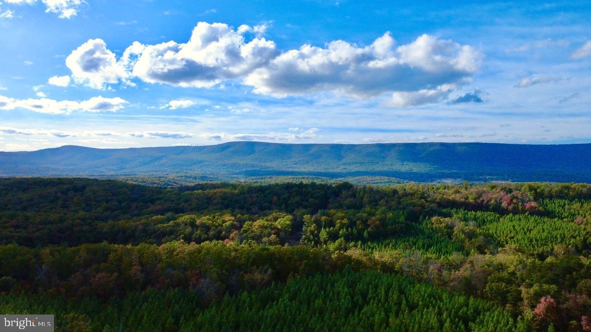 152.44 Acres Lot 2 LAUREL GROVE ROAD