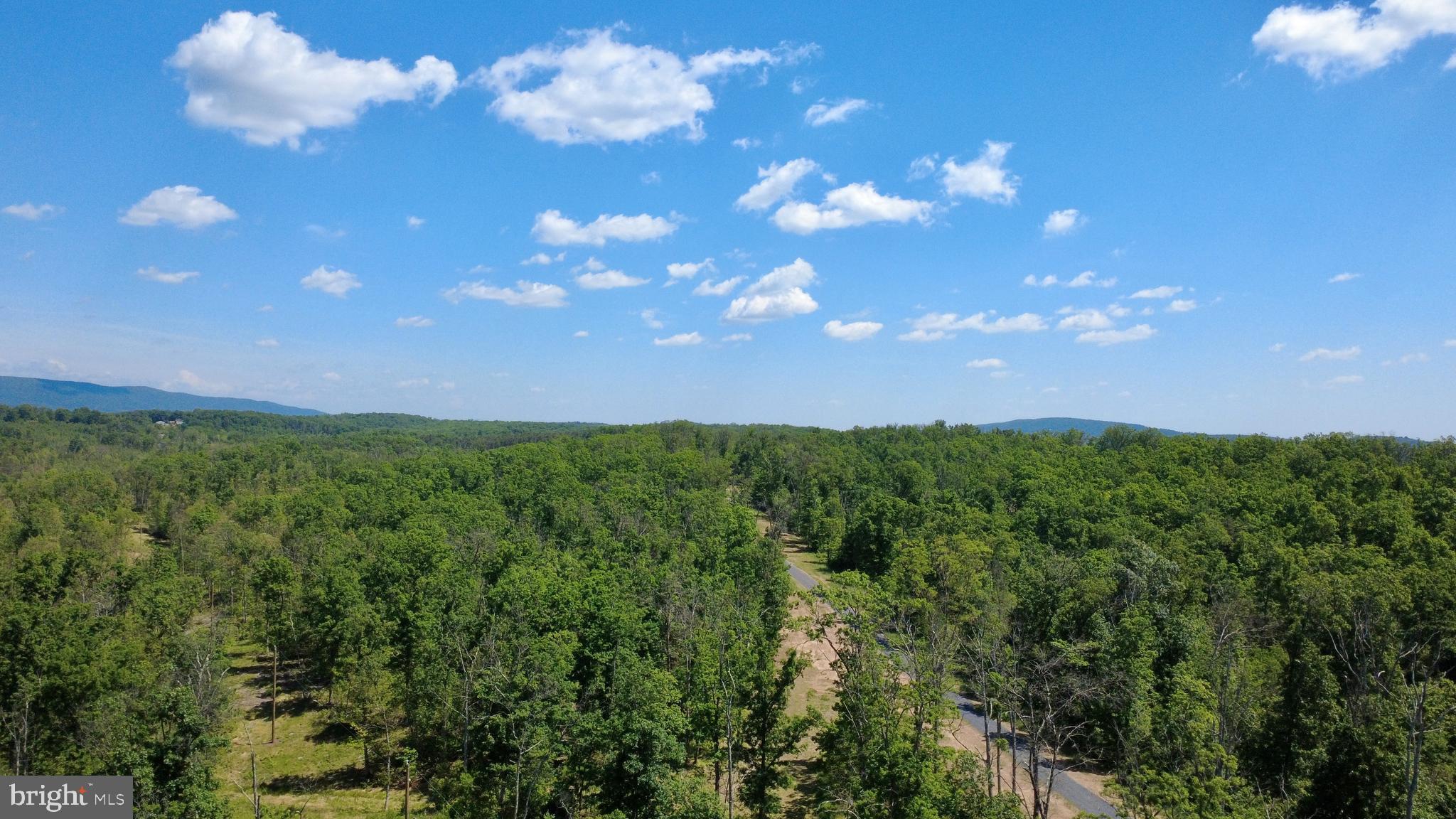 152.44 Acres Lot 2 LAUREL GROVE ROAD