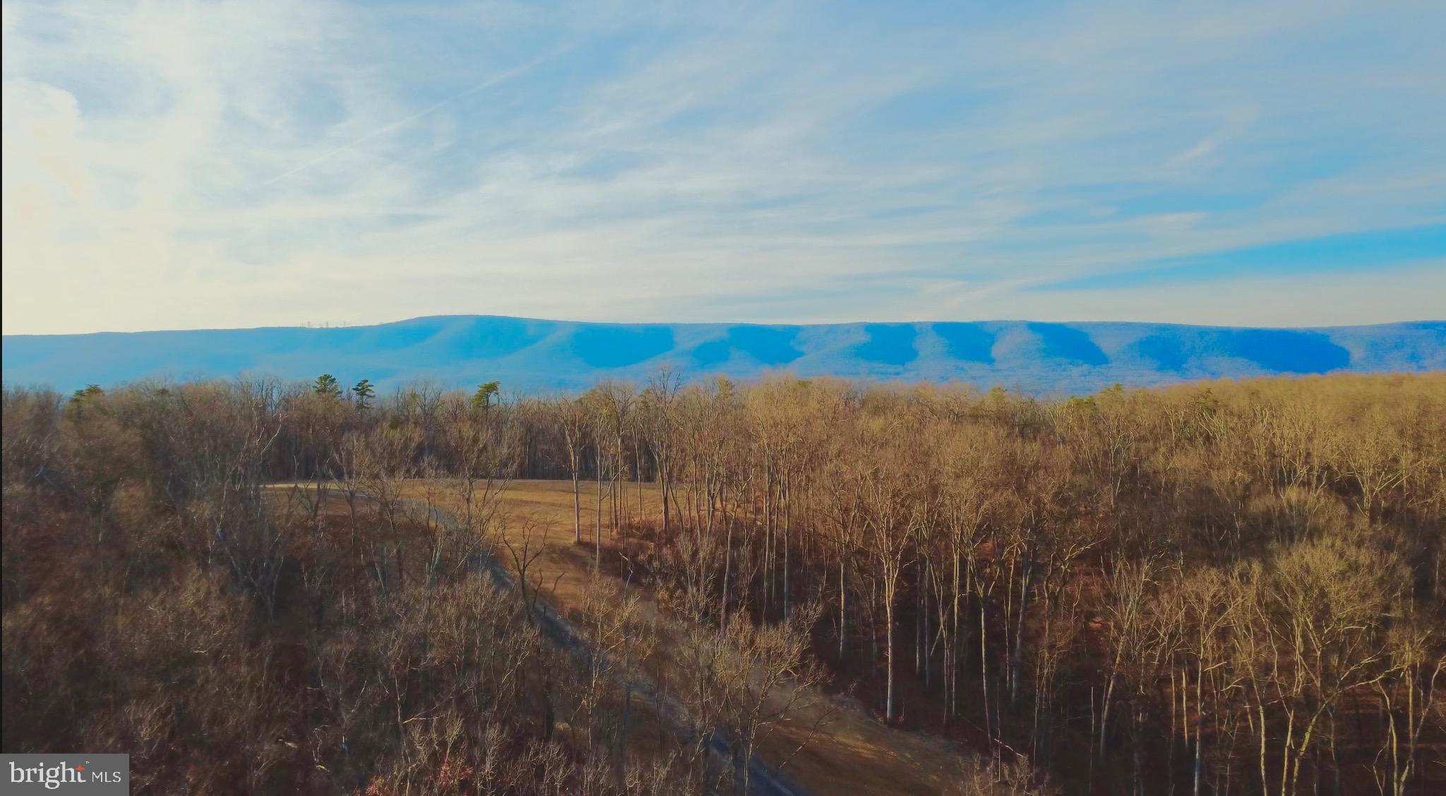 152.44 Acres Lot 2 LAUREL GROVE ROAD