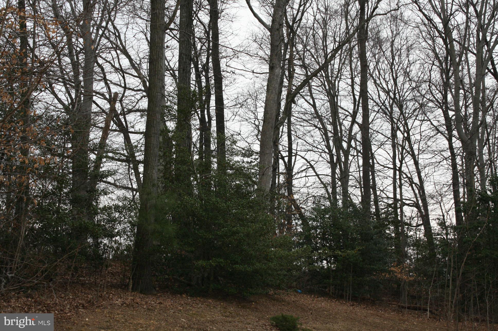 ACADEMY HILLS - Residential