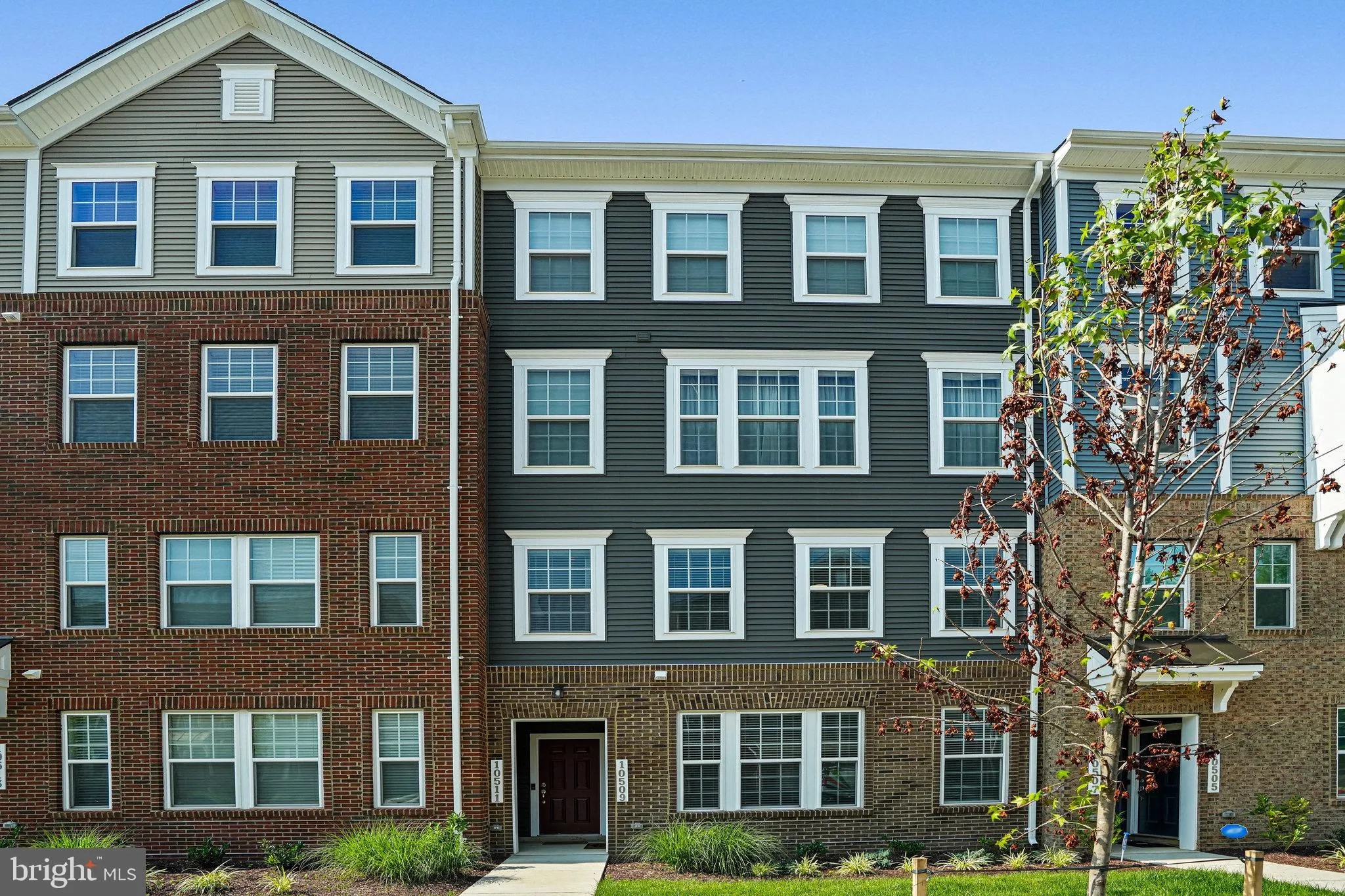 2233838348.jpeg?format=webp