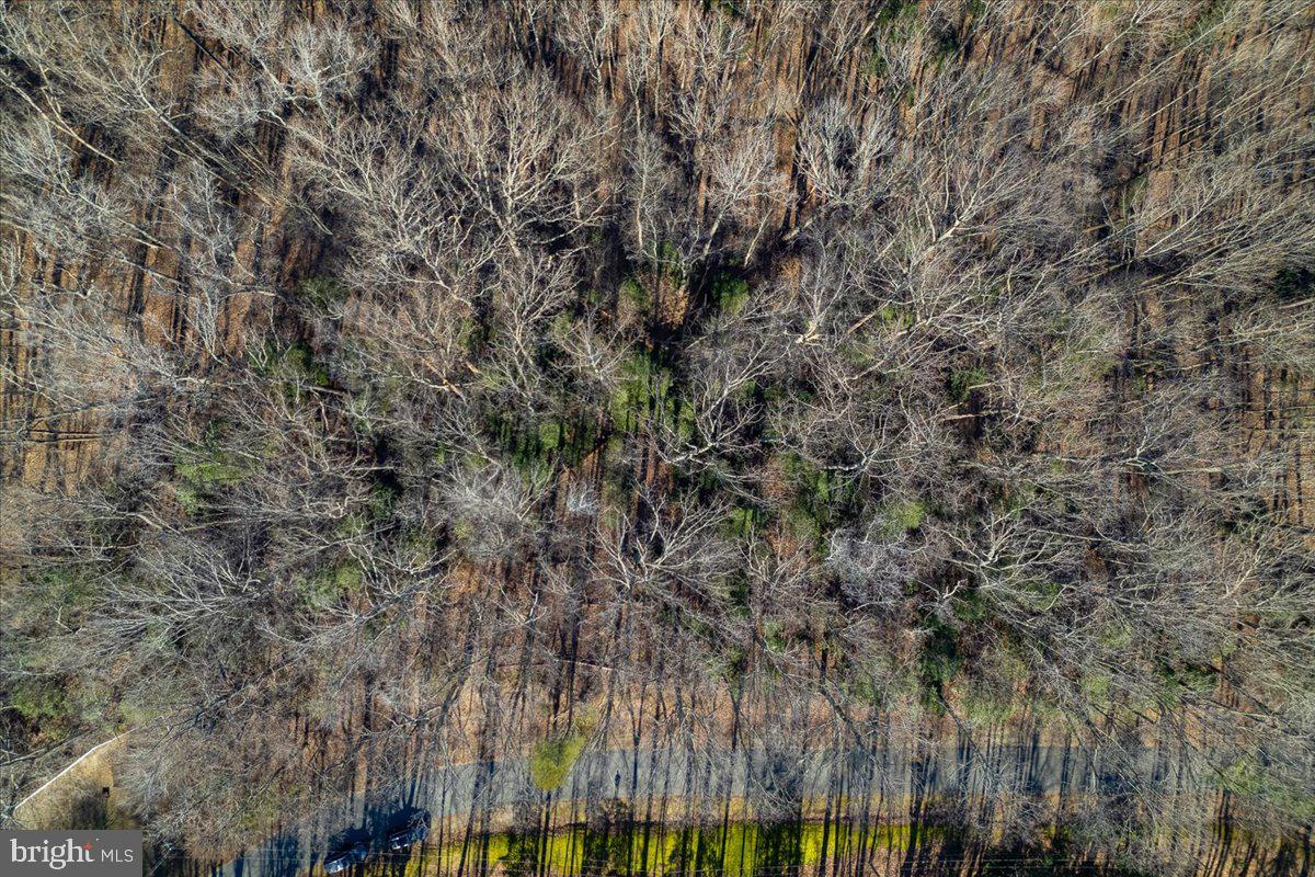 INDEPENDENCE SHORES - Land