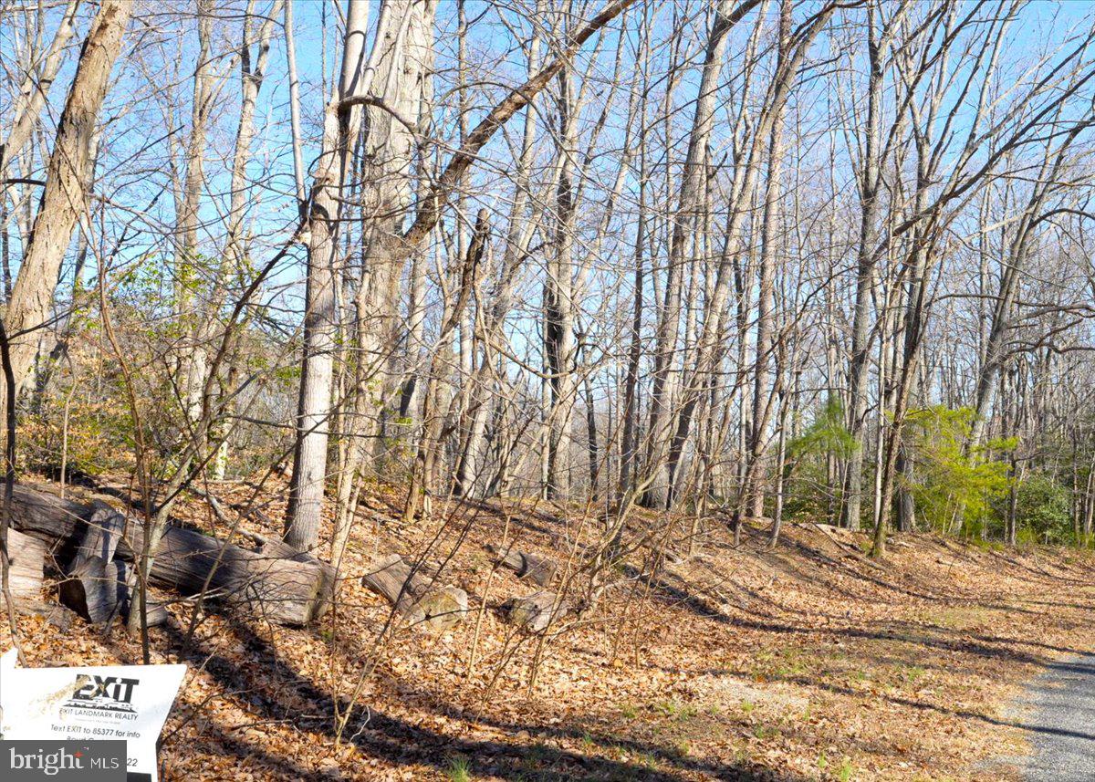 INDEPENDENCE SHORES - Land