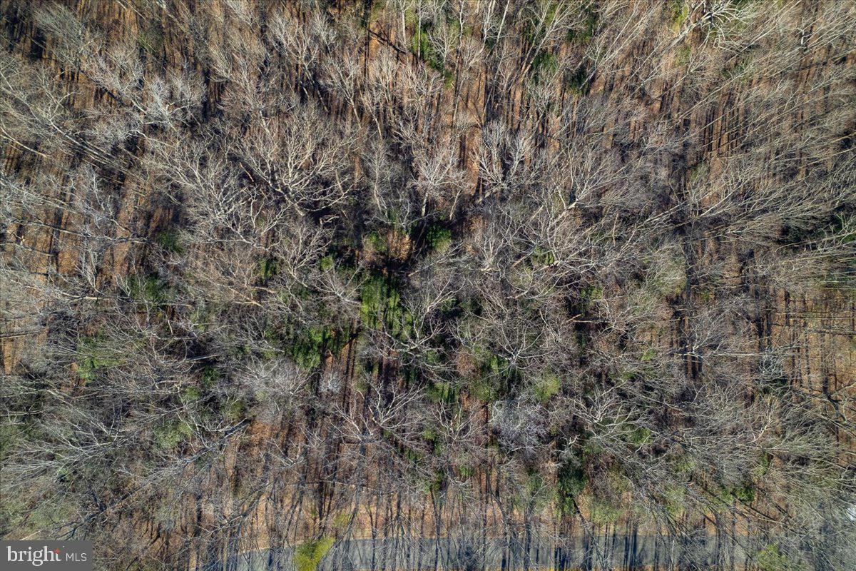 INDEPENDENCE SHORES - Land