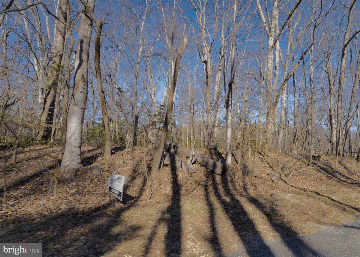 INDEPENDENCE SHORES - Land