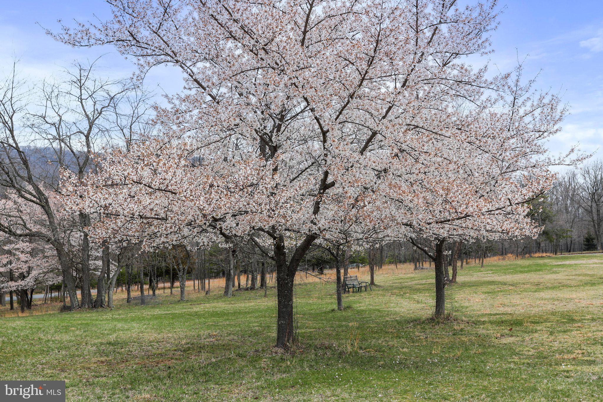 THE MEADOWS AT SLEEPY CREEK - Residential