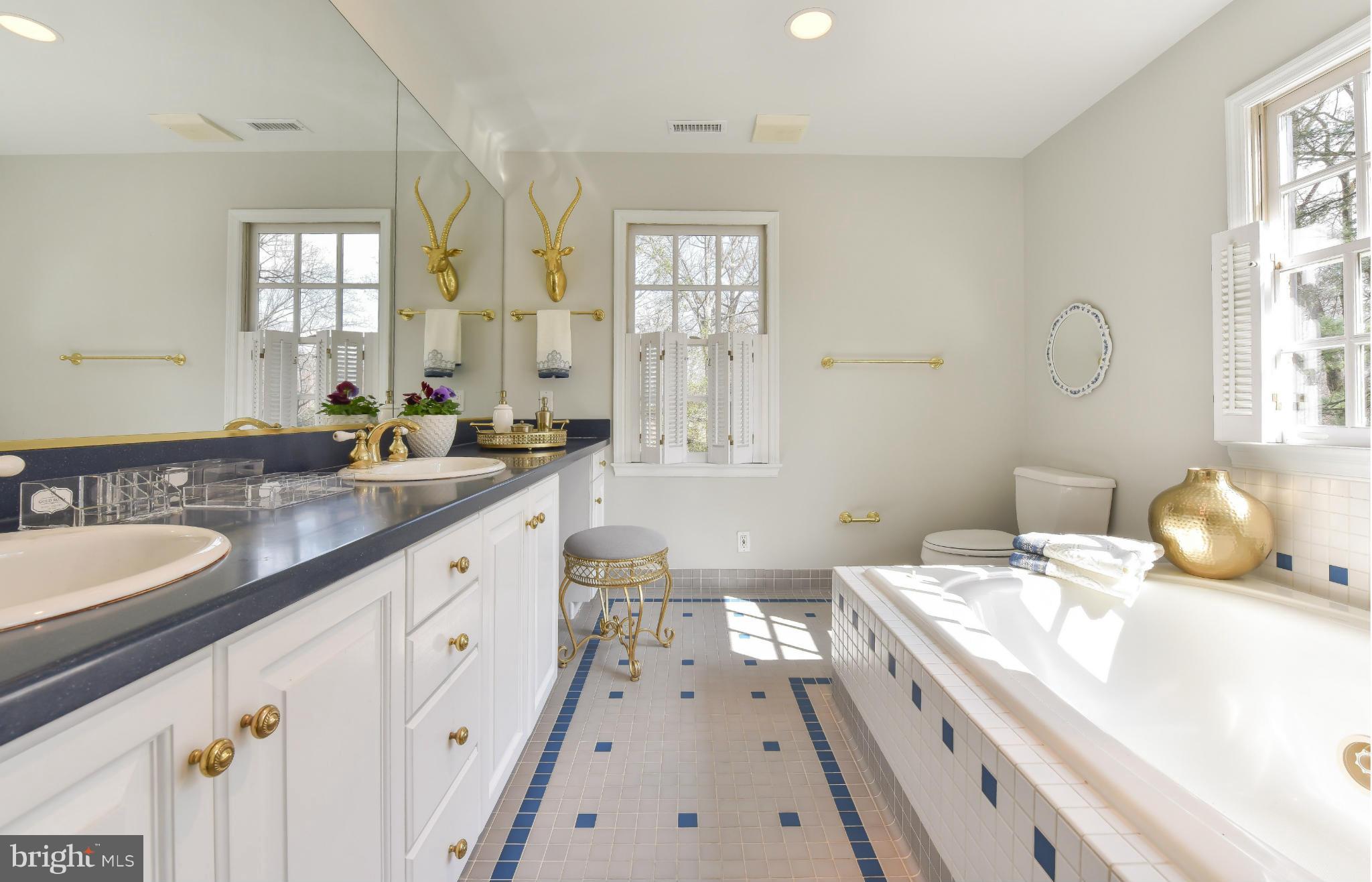 OLDE SWINKS MILL ESTATES - Residential