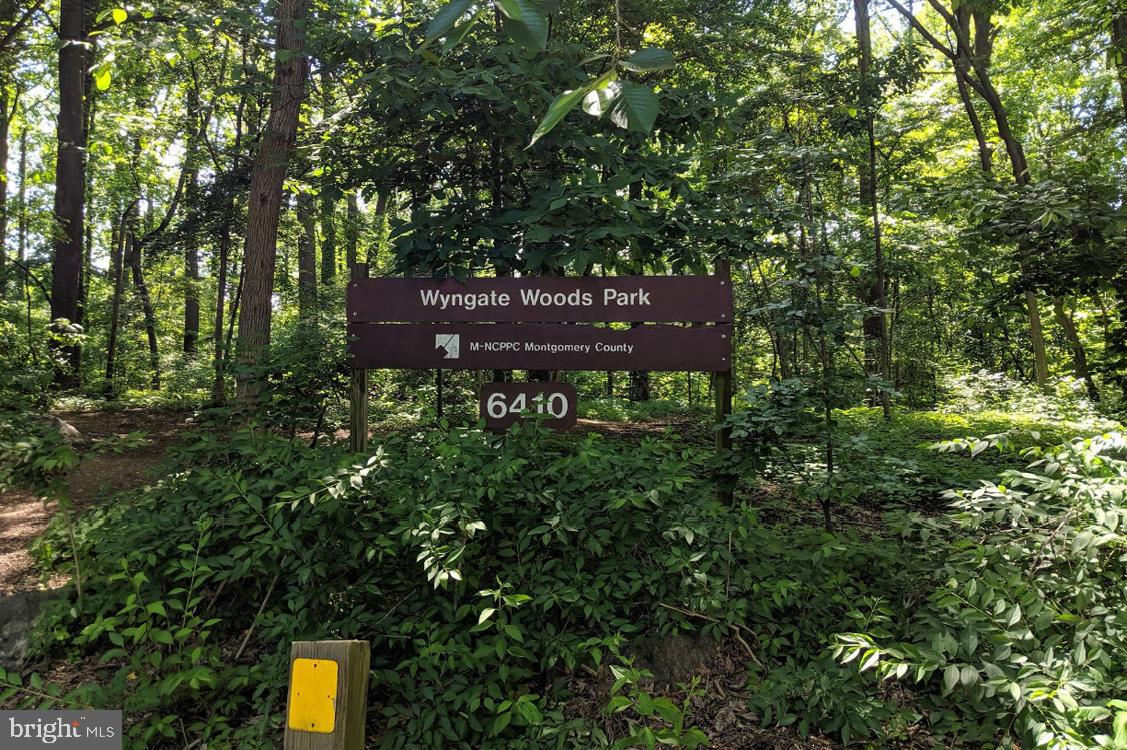 WYNGATE - Residential