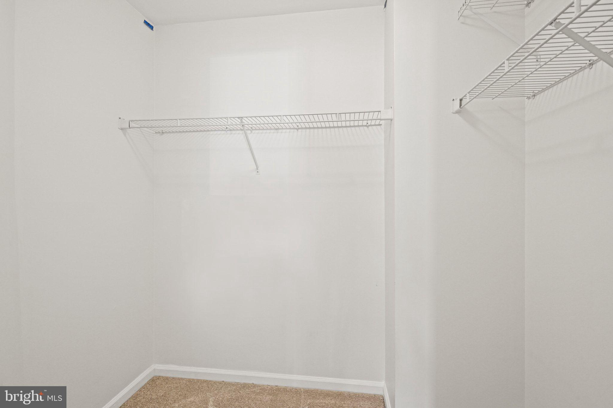 DORSEY SEARCH - Residential Lease