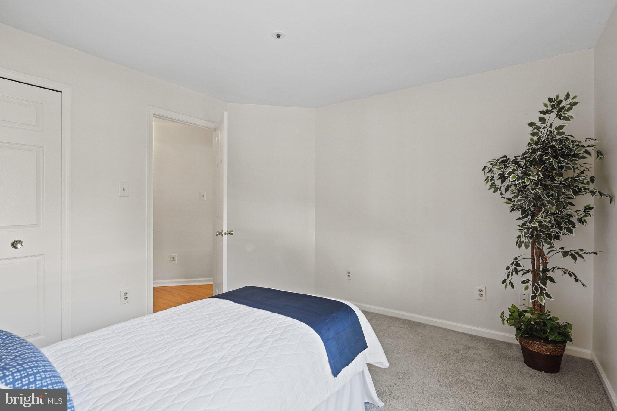 DORSEY SEARCH - Residential Lease