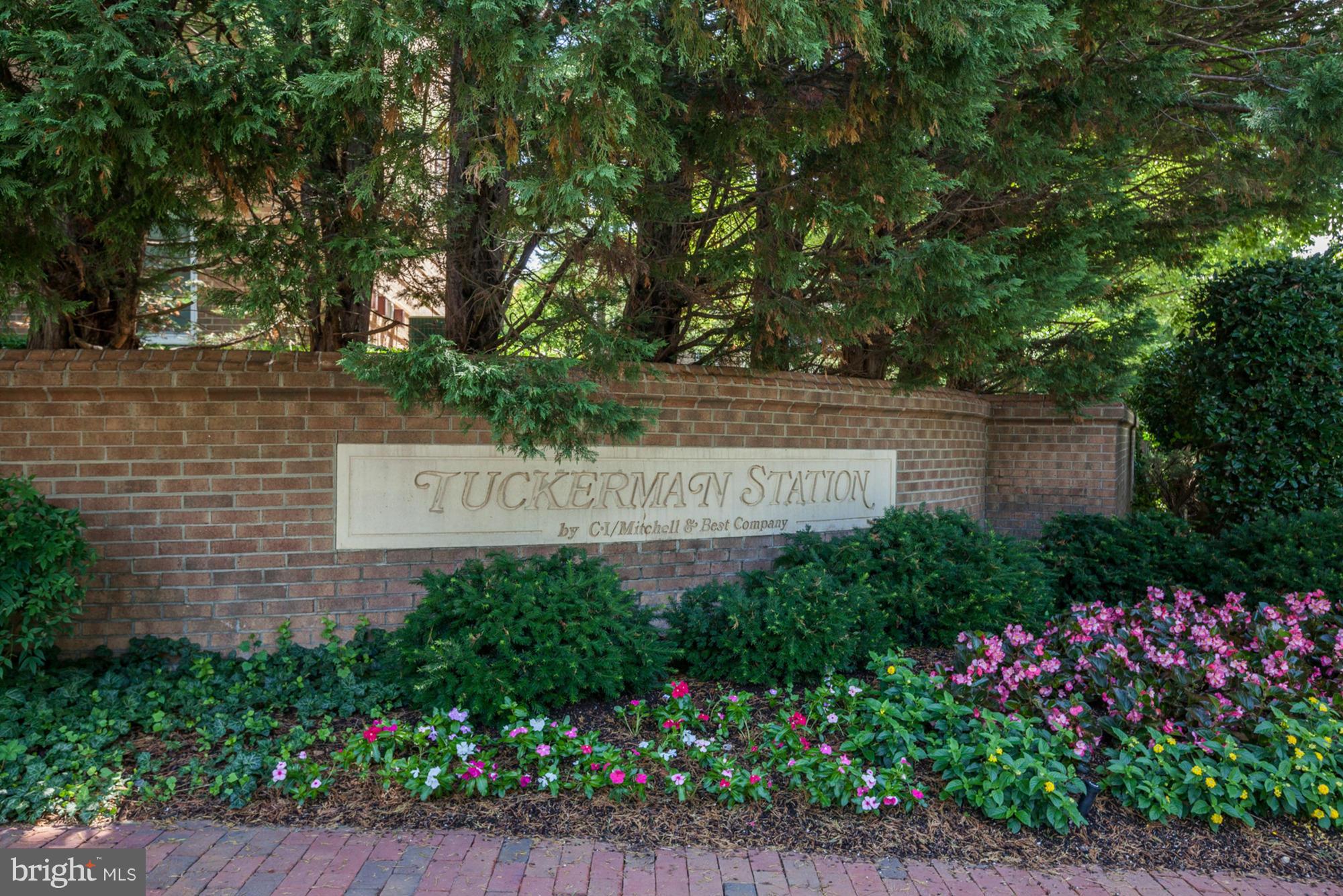 TUCKERMAN STATION - Residential