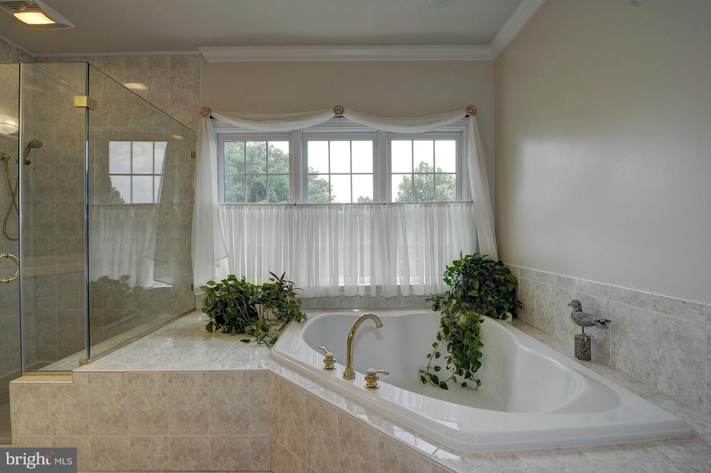 AVENEL - Residential