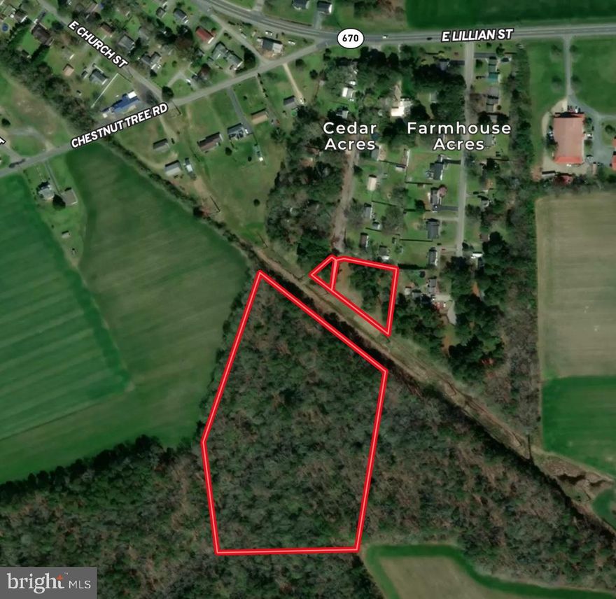 Original site evaluation for perc from 2008 is still valid and confirmed by Wicomico Co Health Dept. 3 parcels totaling +/- 11.59 acres on Cedar Ct just outside of Hebron town limits. Includes +/- 1.27 acre lot with 8,804 sq ft adjacent right of way to additional +/- 9.85 acre wooded parcel for deer and turkey hunting. Lot and wooded parcel are bisected by state powerline easement. Great potential to build or camp and hunt.