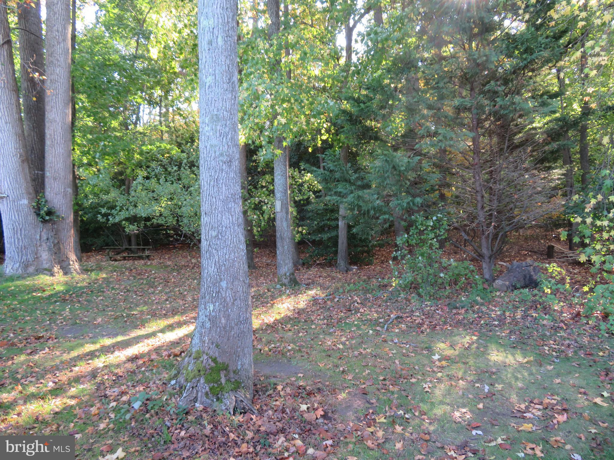 WHITE HORSE PARK I - Residential