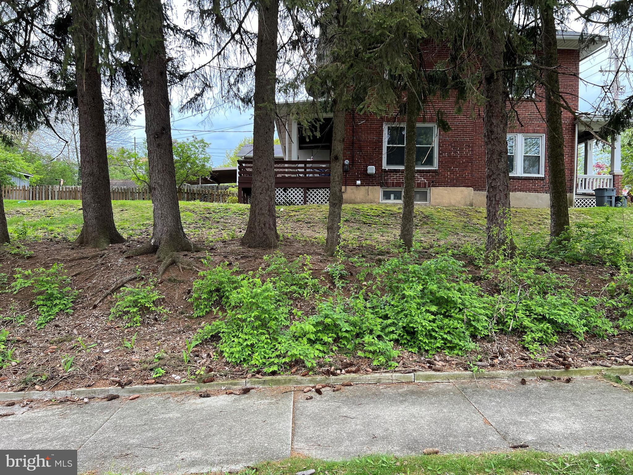 Main image without alt text