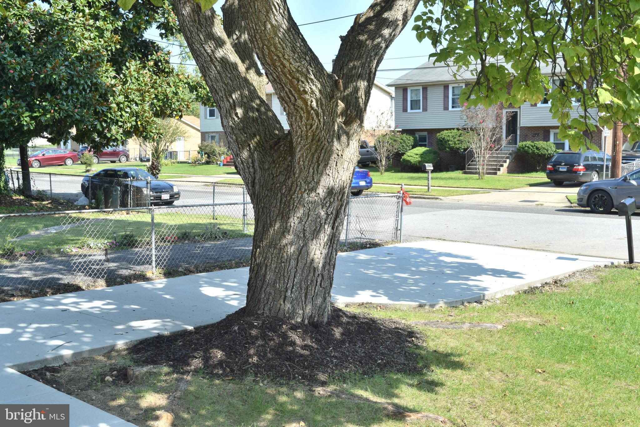 NAVY DAY - Residential