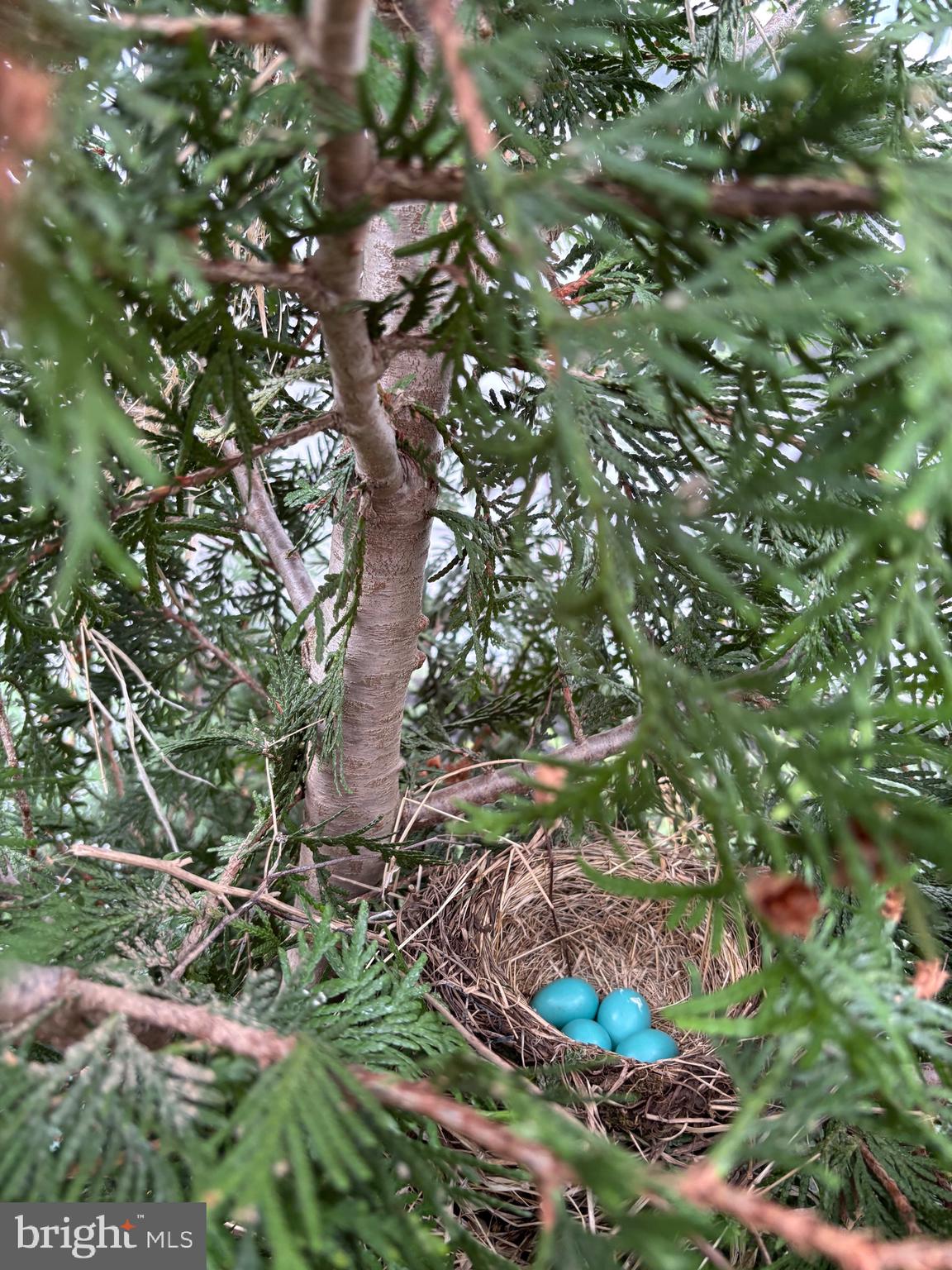 AMBLEBROOK - Residential