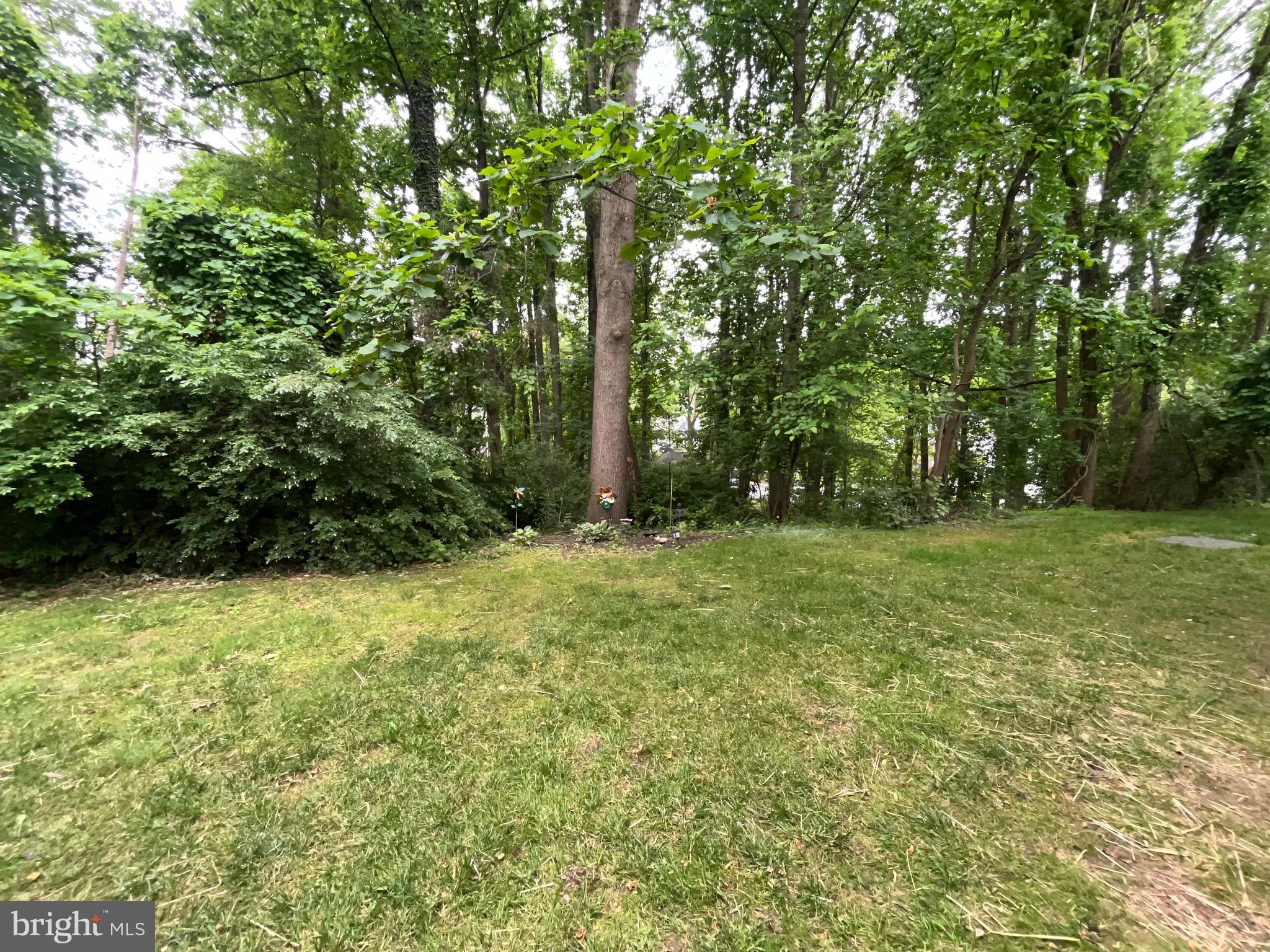 BRENTWOOD CONDO - Residential