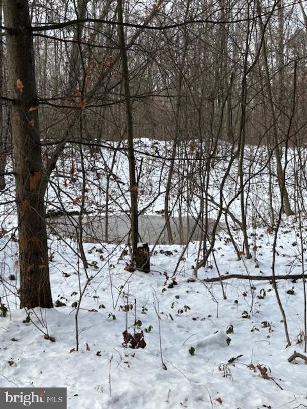 Photo of 0 Little Wolf Road, CLARENCE, PA 16829 (MLS # PACE2517584)