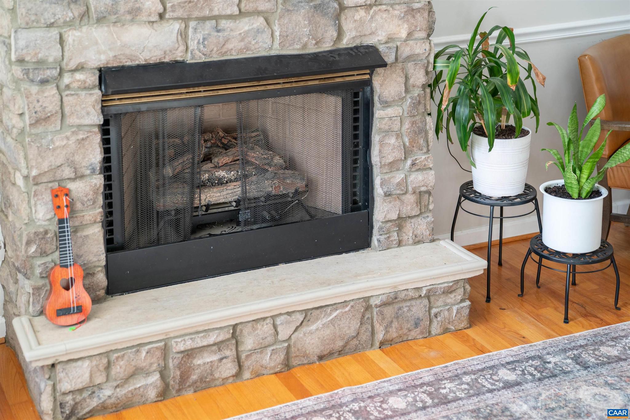 LAKE MONTICELLO - Residential