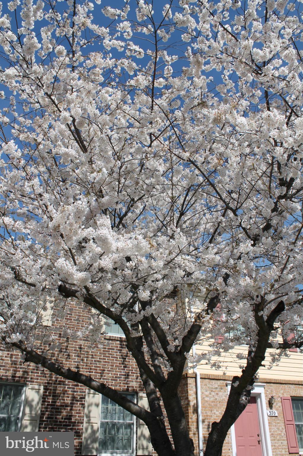 LAKEVIEW TOWNHOUSES - Residential