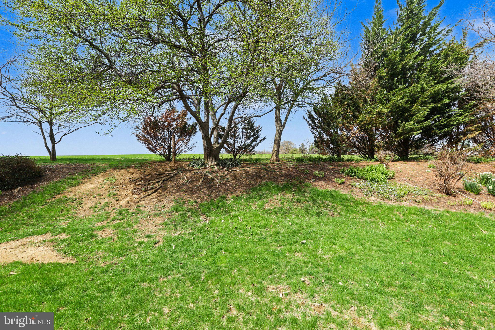 ROCKLEDGE - Residential