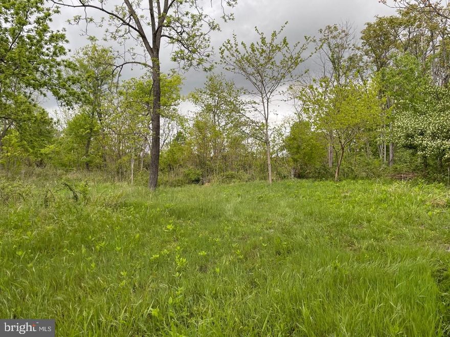This 2.03-acre lot in Summit Point offers a great opportunity to own unrestricted land in a desirable location. with no restrictions.   This lot gives you the freedom to create your dream home or investment property.  Access to this lot is provided via an entrance easement, which means you can enjoy privacy and seclusion while still having easy access to the road. This is perfect for those who value peace and quiet but don't want to be too far away from civilization.  Summit Point is a charming and historic town in Jefferson County, WV. It's known for its picturesque countryside, quaint downtown, and easy access to major cities like Washington, DC and Baltimore, MD. This makes it a great place to live, work, or invest in real estate.  Whether you're looking to build your own home, start a small farm, or develop a rental property, this lot offers endless possibilities. Don't miss your chance to own a piece of the beautiful West Virginia countryside in Summit Point.   Buyers to do their own due diligence on well and septic options.  The property corners are marked by green stakes.