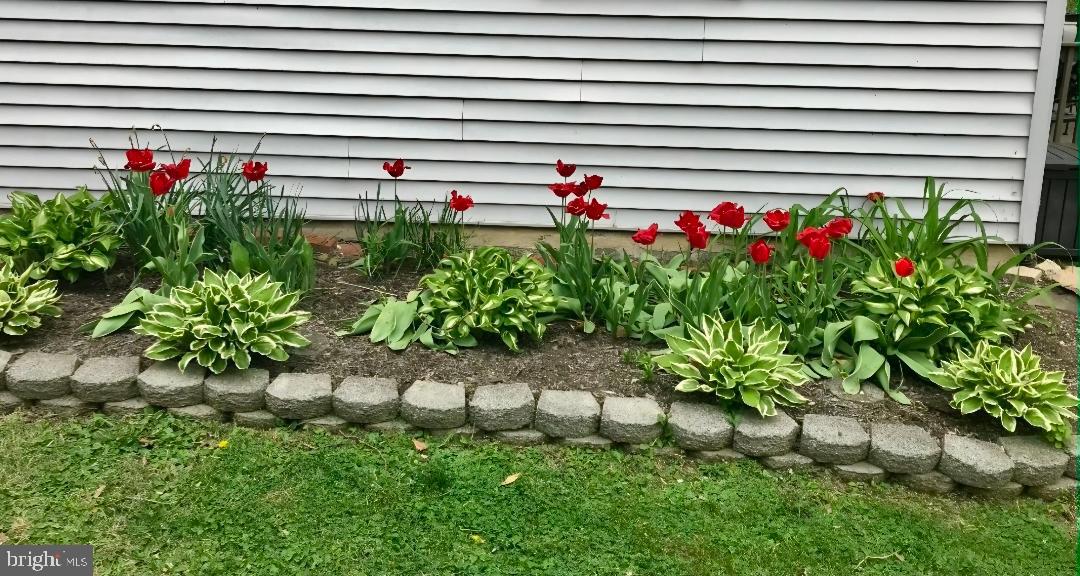 YARDLEY COMMONS - Residential