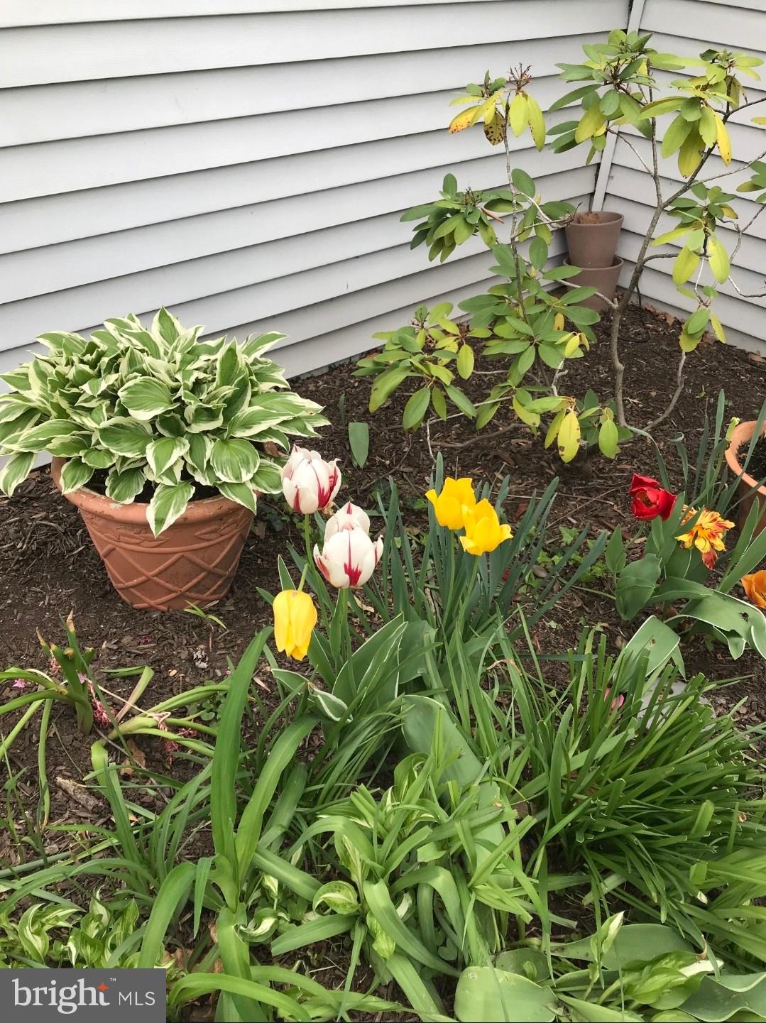 YARDLEY COMMONS - Residential