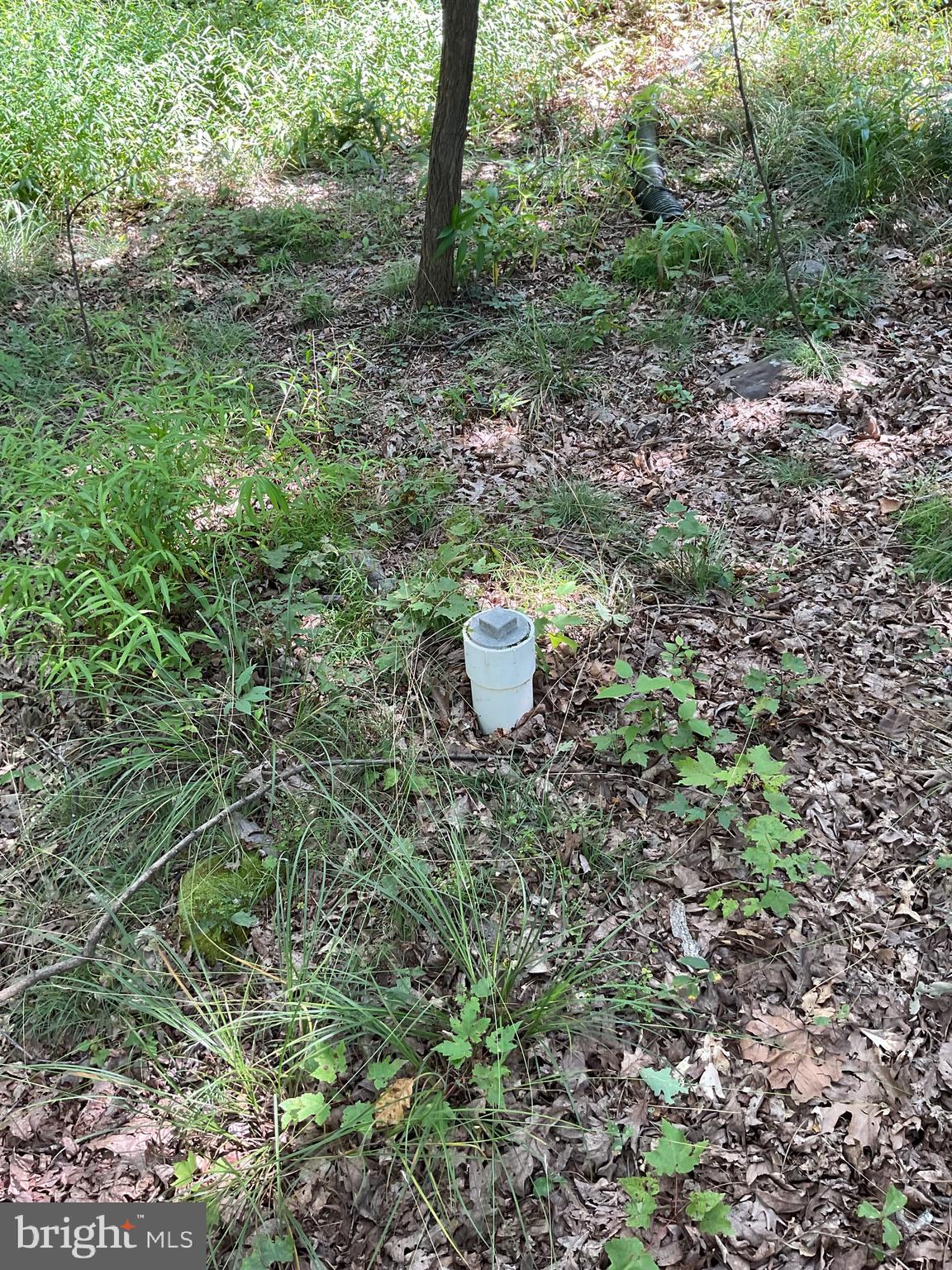 CABIN AT CAPON BRIDGE - Residential