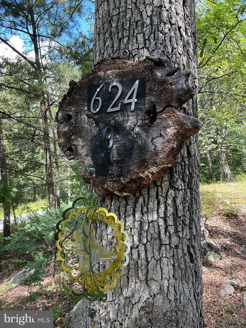 624 MOUNTAIN LION LANE AUGUSTA WV 26704