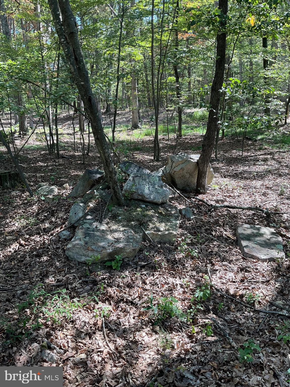 CABIN AT CAPON BRIDGE - Residential