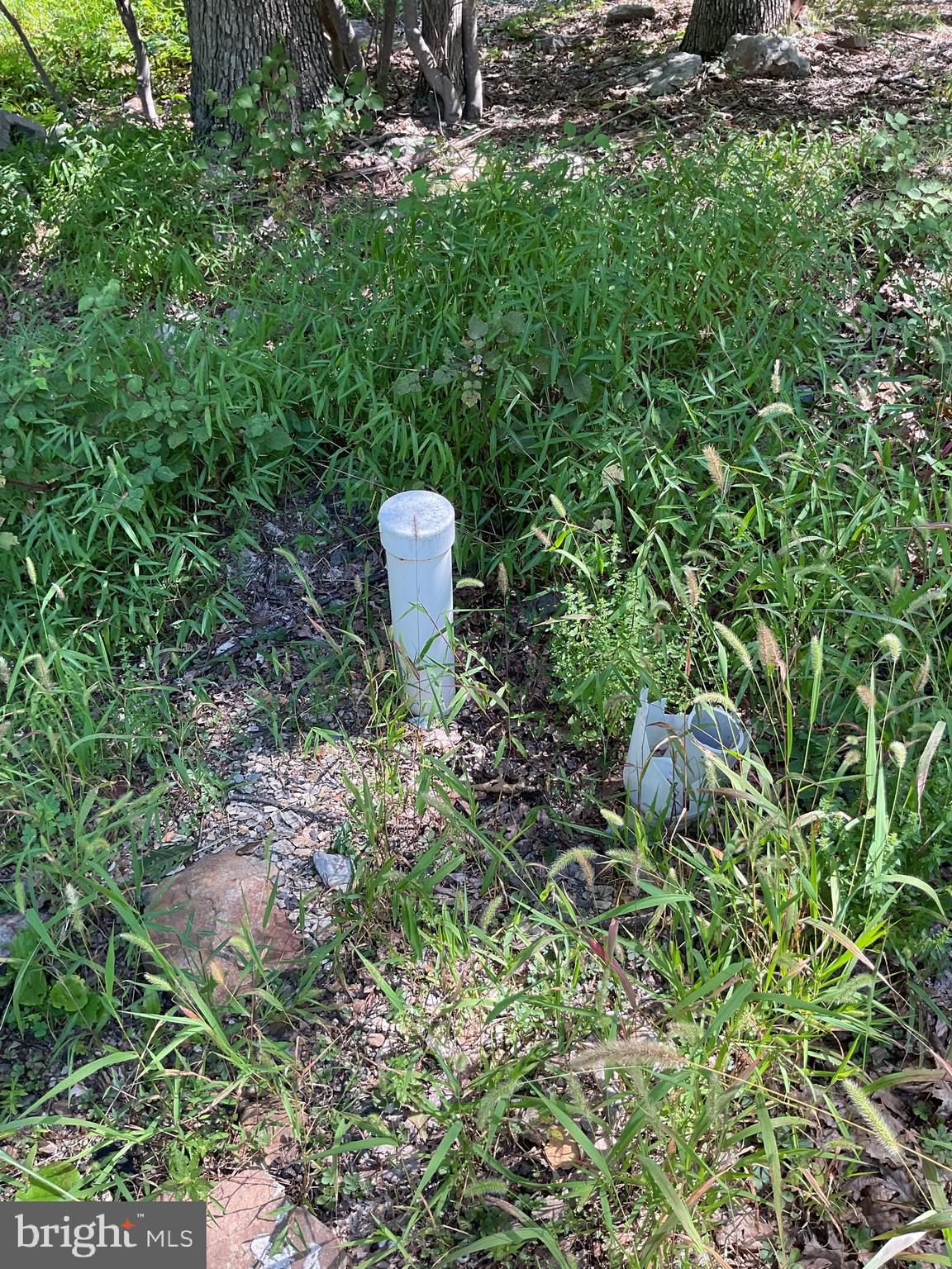 CABIN AT CAPON BRIDGE - Residential