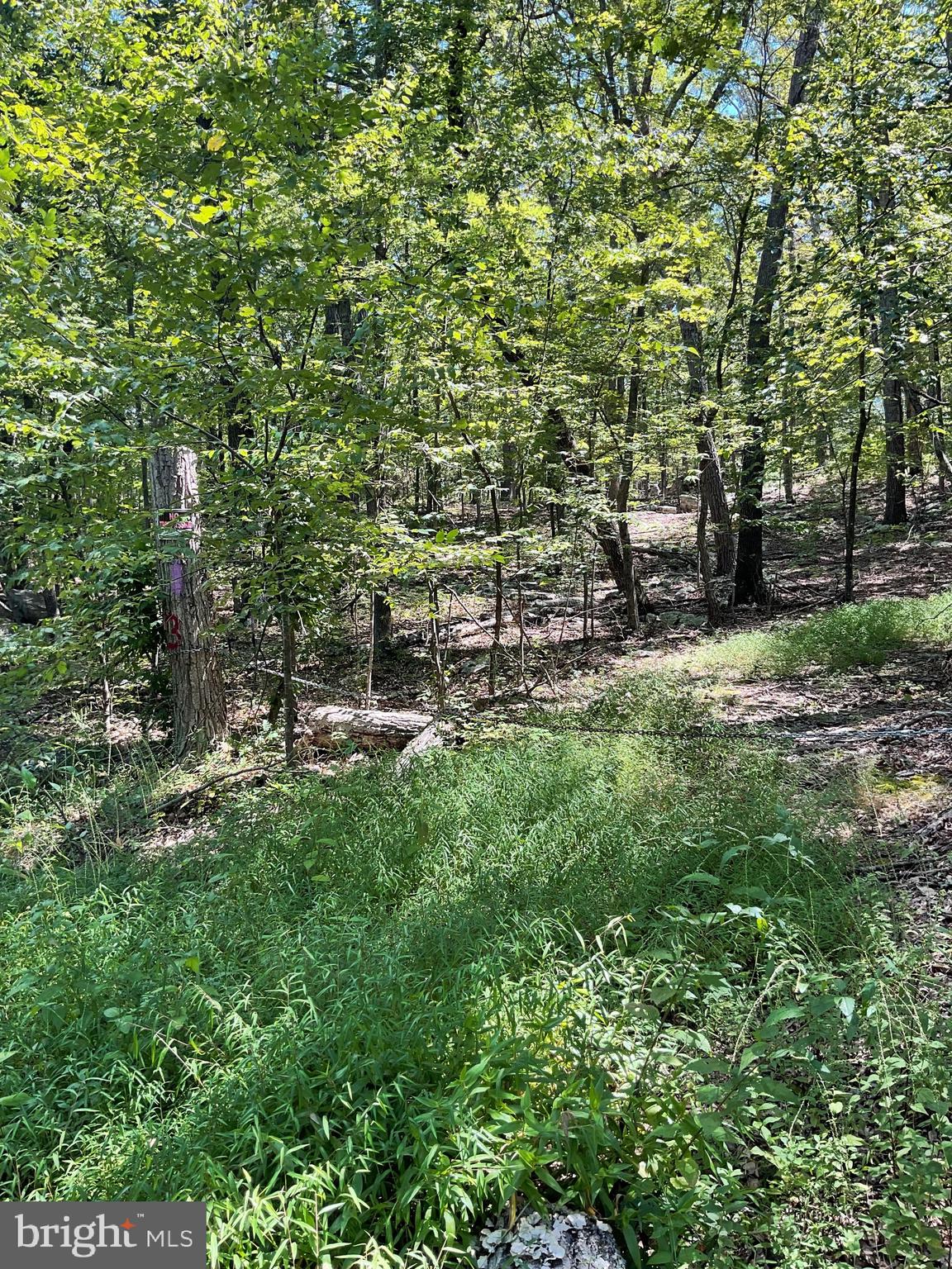 CABIN AT CAPON BRIDGE - Residential