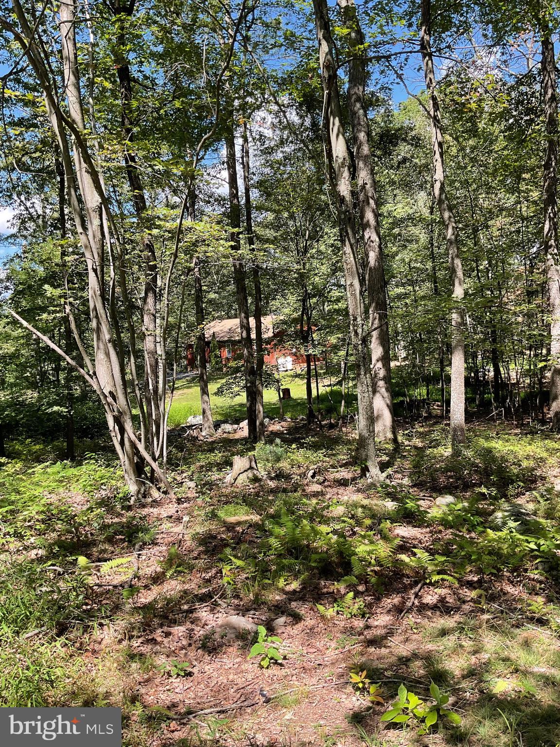 CABIN AT CAPON BRIDGE - Residential