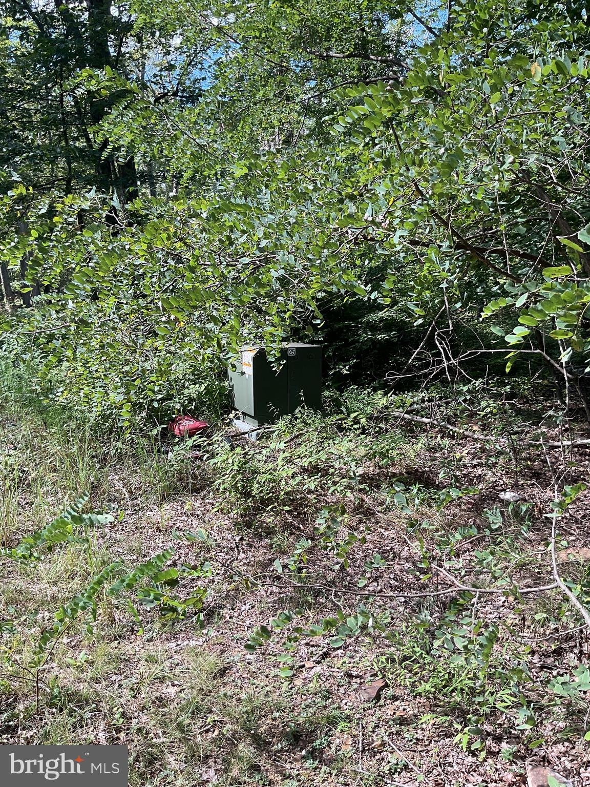 CABIN AT CAPON BRIDGE - Residential